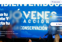 Este es el link para inscribirse al programa ‘Jóvenes en Acción’ | Política | Noticias