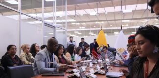 Comisión de Fiscalización insta a profundizar investigación del caso Progen y rastrear la ruta del dinero | Política | Noticias