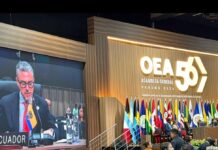 En Asamblea General de la OEA, vicecanciller de Ecuador destaca cooperación hemisférica para enfrentar al crimen organizado transnacional | Política | Noticias