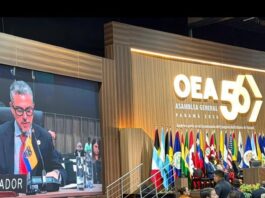 En Asamblea General de la OEA, vicecanciller de Ecuador destaca cooperación hemisférica para enfrentar al crimen organizado transnacional | Política | Noticias