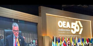 En Asamblea General de la OEA, vicecanciller de Ecuador destaca cooperación hemisférica para enfrentar al crimen organizado transnacional | Política | Noticias