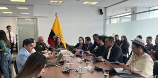 Comisión de Seguridad Integral inicia trámite de proyecto de Ley Antimafias | Política | Noticias