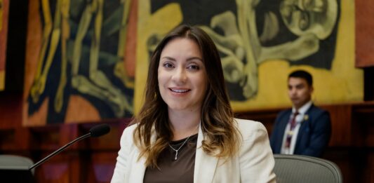 Agenda parlamentaria: la presidenta Mishel Mancheno tiene 60 días para presentar el plan anual | Política | Noticias