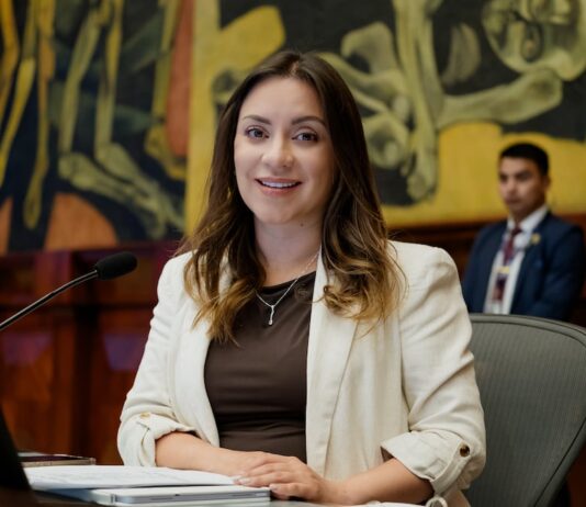 Agenda parlamentaria: la presidenta Mishel Mancheno tiene 60 días para presentar el plan anual | Política | Noticias