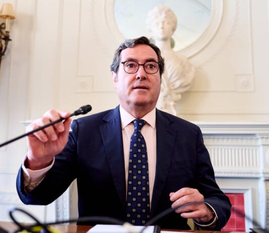 Garamendi confirma que se presentará a las elecciones para un tercer mandato al frente de la CEOE | Economía