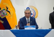 CNE otorga 90 días adicionales para completar firmas de iniciativa ciudadana sobre seguridad | Política | Noticias