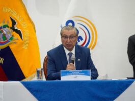 CNE otorga 90 días adicionales para completar firmas de iniciativa ciudadana sobre seguridad | Política | Noticias
