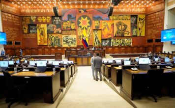 Asamblea reconfigura la mesa de Desarrollo Económico tras la salida de Niels Olsen | Política | Noticias
