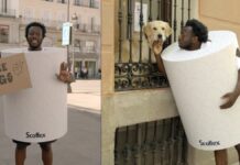Scottex pierde un rollo de papel higiénico por Madrid