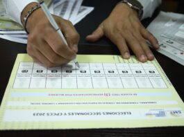 Vocales en funciones, sus asesores y funcionarios, entre los 163 hombres que quieren llegar al Consejo de Participación Ciudadana | Política | Noticias
