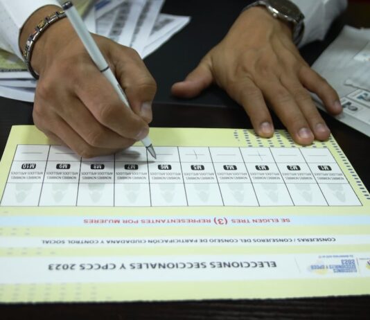 Vocales en funciones, sus asesores y funcionarios, entre los 163 hombres que quieren llegar al Consejo de Participación Ciudadana | Política | Noticias