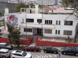 De absorber la lista 5 a sumarse al Movimiento Amigo: siete años de tránsito del correísmo para seguir en las papeletas | Política | Noticias