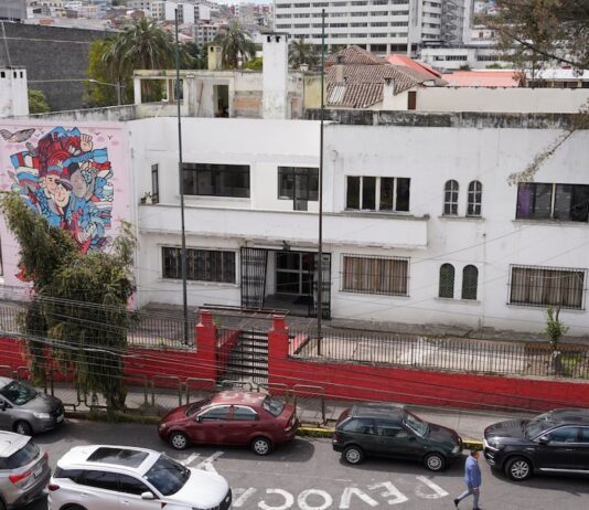 De absorber la lista 5 a sumarse al Movimiento Amigo: siete años de tránsito del correísmo para seguir en las papeletas | Política | Noticias
