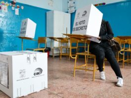 El futuro político de los prefectos: entre la reelección, nuevas candidaturas y los retiros de la contienda | Política | Noticias