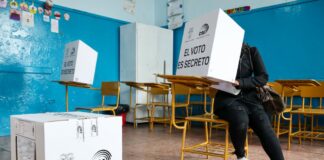 El futuro político de los prefectos: entre la reelección, nuevas candidaturas y los retiros de la contienda | Política | Noticias