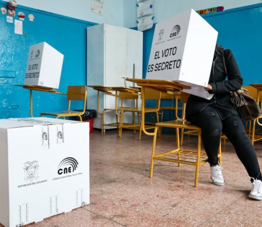 El futuro político de los prefectos: entre la reelección, nuevas candidaturas y los retiros de la contienda | Política | Noticias