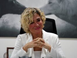 Cynthia Viteri es la precandidata a la Alcaldía de Guayaquil por Centro Democrático | Política | Noticias