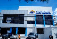Precandidatos a las seccionales no están en firme: alianzas políticas pueden reemplazar nombres | Política | Noticias