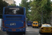 Daniel Noboa optimiza el mecanismo de compensación para el transporte tras reducción del precio de los combustibles | Política | Noticias