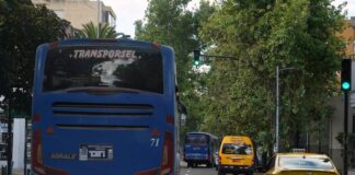 Daniel Noboa optimiza el mecanismo de compensación para el transporte tras reducción del precio de los combustibles | Política | Noticias