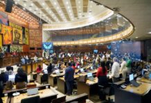 Asamblea debate proyecto sobre obesidad que prioriza la prevención antes que procedimientos bariátricos | Política | Noticias