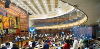 Asamblea debate proyecto sobre obesidad que prioriza la prevención antes que procedimientos bariátricos | Política | Noticias