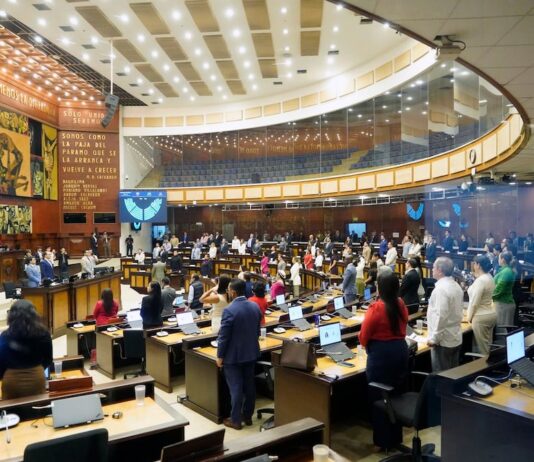 Asamblea debate proyecto sobre obesidad que prioriza la prevención antes que procedimientos bariátricos | Política | Noticias