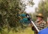 El sector del aceite de oliva aprovecha el tirón del Mundial para promocionarse en Estados Unidos