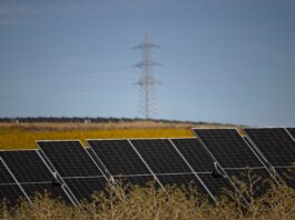 Europa nos suspende en transición ecológica
