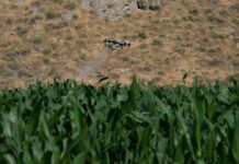 Europa subvencionará “de urgencia” más de la mitad del precio de los fertilizantes agrícolas