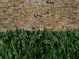 Europa subvencionará “de urgencia” más de la mitad del precio de los fertilizantes agrícolas