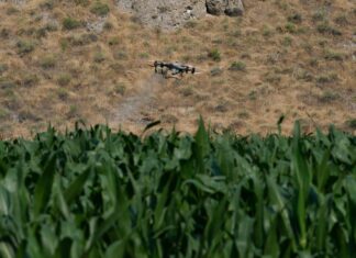 Europa subvencionará “de urgencia” más de la mitad del precio de los fertilizantes agrícolas