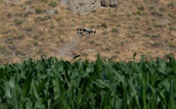 Europa subvencionará “de urgencia” más de la mitad del precio de los fertilizantes agrícolas