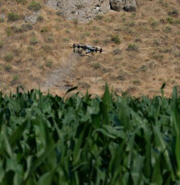 Europa subvencionará “de urgencia” más de la mitad del precio de los fertilizantes agrícolas