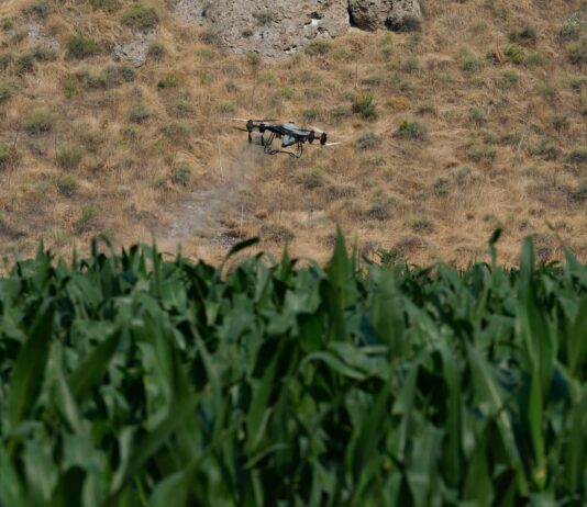 Europa subvencionará “de urgencia” más de la mitad del precio de los fertilizantes agrícolas