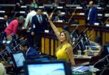 Dallyana Passailaigue y su paso por la política desde el Partido Social Cristiano | Política | Noticias