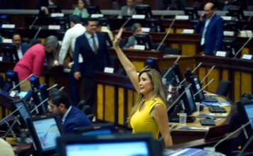 Dallyana Passailaigue y su paso por la política desde el Partido Social Cristiano | Política | Noticias