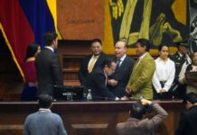 Campaña electoral renovará por quince días el Consejo de Participación Ciudadana: Asamblea tendría que posesionar más excandidatos | Política | Noticias