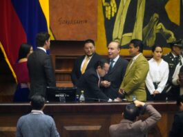 Campaña electoral renovará por quince días el Consejo de Participación Ciudadana: Asamblea tendría que posesionar más excandidatos | Política | Noticias