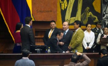 Campaña electoral renovará por quince días el Consejo de Participación Ciudadana: Asamblea tendría que posesionar más excandidatos | Política | Noticias