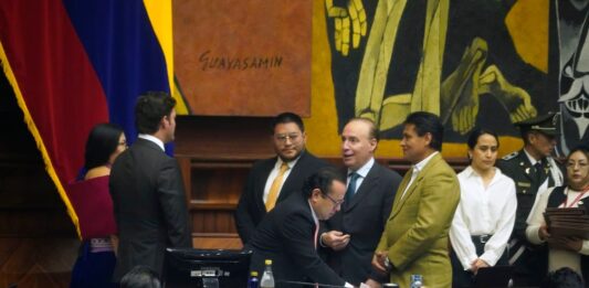 Campaña electoral renovará por quince días el Consejo de Participación Ciudadana: Asamblea tendría que posesionar más excandidatos | Política | Noticias
