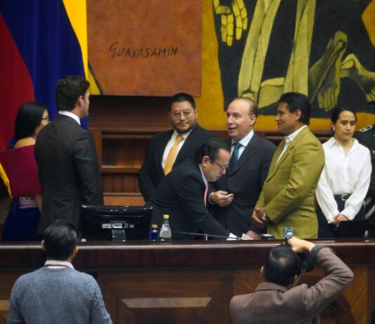 Campaña electoral renovará por quince días el Consejo de Participación Ciudadana: Asamblea tendría que posesionar más excandidatos | Política | Noticias