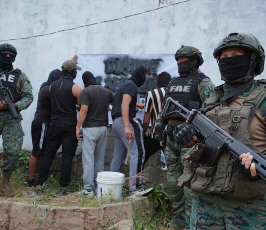 Desde el control en cárceles hasta la extradición: Asamblea Nacional avanza en normativas para combatir el crimen organizado | Política | Noticias