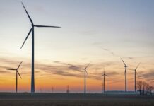 ¡Se nos quedó coja la transición energética! | Opinión
