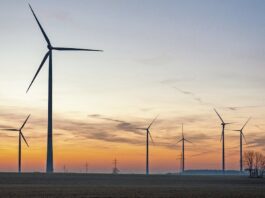 ¡Se nos quedó coja la transición energética! | Opinión
