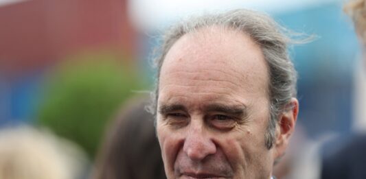 La apuesta de Niel por Vodafone es una expansión de imperio justificable