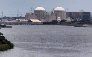 El Consejo de Seguridad Nuclear da luz verde a la prórroga de Almaraz hasta 2030 | Economía