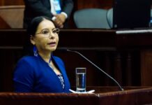 Con Diana Atamaint fuera del Consejo Nacional Electoral se activarían procesos de control político y judicial en su contra | Política | Noticias