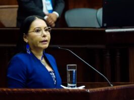 Con Diana Atamaint fuera del Consejo Nacional Electoral se activarían procesos de control político y judicial en su contra | Política | Noticias