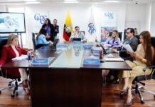 Precandidatos a consejeros de Participación Ciudadana tienen hasta el lunes para defenderse de las denuncias | Política | Noticias